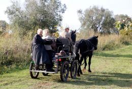 Carrozza Con Passeggeri